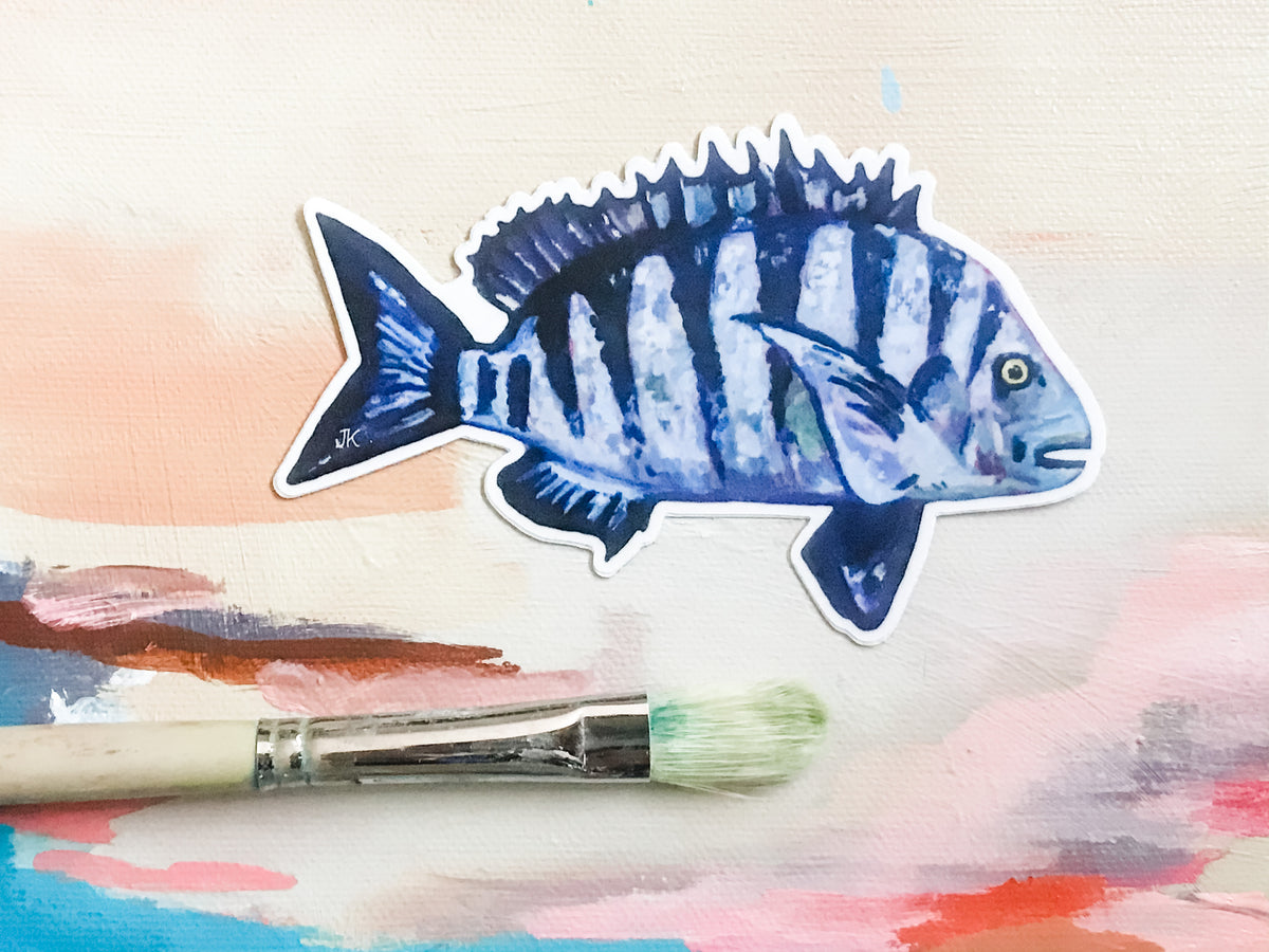 Sheepshead Fish sticker – Jackie Koenig Painting